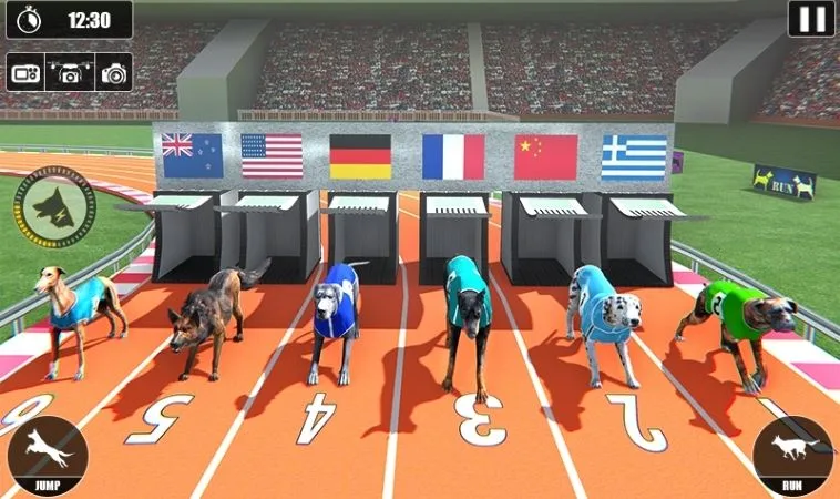 Cách Chơi Game Nhanh Đua Chó Tại SV368 Thắng Lớn Mỗi Ngày 2 Cách chơi game nhanh Đua Chó Tại SV368