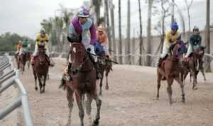 Đua ngựa SV368