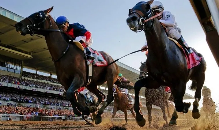 Cần tìm hiểu kỹ về bộ môn đua ngựa SV368 trước khi cá cược